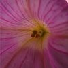 katandme